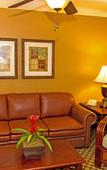 Туры в отель Westgate Leisure Resort Туры в отель Westgate Leisure Resort