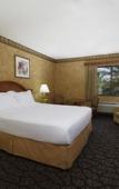 Туры в отель Silver Sevens Hotel and Casino, a Wyndham Garden Туры в отель Silver Sevens Hotel and Casino, a Wyndham Garden