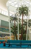 Туры в отель Universal's Cabana Bay Beach Resort Туры в отель Universal's Cabana Bay Beach Resort