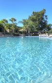 Туры в отель Rosen Inn International Туры в отель Rosen Inn International