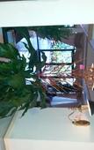Туры в отель Chateaubleau Hotel Туры в отель Chateaubleau Hotel
