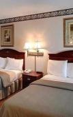 Туры в отель Studio City Court Yard Hotel Туры в отель Studio City Court Yard Hotel