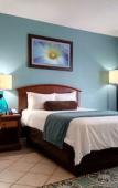 Туры в отель Club Wyndham Palm-Aire Туры в отель Club Wyndham Palm-Aire