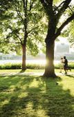 Туры в отель The Royal Sonesta Boston Туры в отель The Royal Sonesta Boston