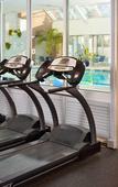 Туры в отель The Royal Sonesta Boston Туры в отель The Royal Sonesta Boston