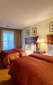 Туры в отель Homewood Suites by Hilton East Rutherford - Meadowlands Туры в отель Homewood Suites by Hilton East Rutherford - Meadowlands