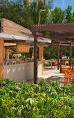 Туры в отель Dreams Jade Resort & Spa Туры в отель Dreams Jade Resort & Spa