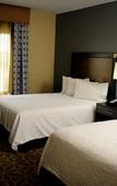 Туры в отель Hampton Inn & Suites Houston Heights I-10 Туры в отель Hampton Inn & Suites Houston Heights I-10