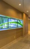 Туры в отель Springhill Suites by Marriott Tampa Brandon Туры в отель Springhill Suites by Marriott Tampa Brandon