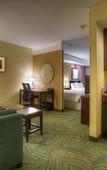Туры в отель Springhill Suites by Marriott Tampa Brandon Туры в отель Springhill Suites by Marriott Tampa Brandon