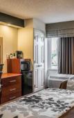 Туры в отель Sleep Inn near Busch Gardens/USF Туры в отель Sleep Inn near Busch Gardens/USF
