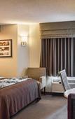 Туры в отель Sleep Inn near Busch Gardens/USF Туры в отель Sleep Inn near Busch Gardens/USF