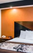 Туры в отель Sleep Inn near Busch Gardens/USF Туры в отель Sleep Inn near Busch Gardens/USF