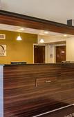 Туры в отель Sleep Inn near Busch Gardens/USF Туры в отель Sleep Inn near Busch Gardens/USF