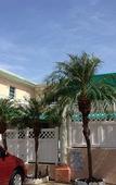 Туры в отель Hollywood Beach Blue Wave Туры в отель Hollywood Beach Blue Wave