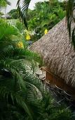 Туры в отель Dolphin Key Resort Туры в отель Dolphin Key Resort