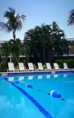 Туры в отель Dolphin Key Resort Туры в отель Dolphin Key Resort