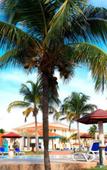Туры в отель Sirenis Tropical Varadero Туры в отель Sirenis Tropical Varadero