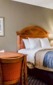 Туры в отель Comfort Inn Sun City Center - Ruskin - Tampa South Туры в отель Comfort Inn Sun City Center - Ruskin - Tampa South