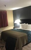 Туры в отель Framingham Inn Туры в отель Framingham Inn