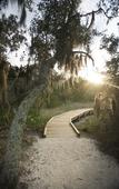 Туры в отель The Villas of Amelia Island Туры в отель The Villas of Amelia Island