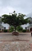 Туры в отель Ocean Jewels Resort Туры в отель Ocean Jewels Resort