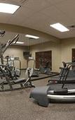 Туры в отель EVEN Hotel Sarasota-Lakewood Ranch by IHG Туры в отель EVEN Hotel Sarasota-Lakewood Ranch by IHG