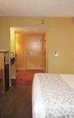 Туры в отель La Quinta Inn & Suites by Wyndham Sarasota Downtown Туры в отель La Quinta Inn & Suites by Wyndham Sarasota Downtown