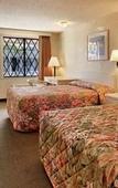 Туры в отель Super 8 by Wyndham Lantana West Palm Beach Туры в отель Super 8 by Wyndham Lantana West Palm Beach