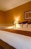 Туры в отель Best Western Intracoastal Inn Туры в отель Best Western Intracoastal Inn