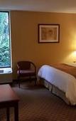 Туры в отель Best Western Intracoastal Inn Туры в отель Best Western Intracoastal Inn