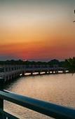 Туры в отель Best Western Intracoastal Inn Туры в отель Best Western Intracoastal Inn