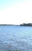 Туры в отель Best Western Intracoastal Inn Туры в отель Best Western Intracoastal Inn