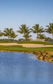 Туры в отель GreenLinks Golf Villas at Lely Resort Туры в отель GreenLinks Golf Villas at Lely Resort