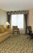 Туры в отель Hilton Garden Inn Buffalo Airport Туры в отель Hilton Garden Inn Buffalo Airport