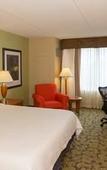 Туры в отель Hilton Garden Inn Buffalo Airport Туры в отель Hilton Garden Inn Buffalo Airport