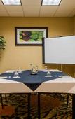 Туры в отель Hilton Garden Inn Buffalo Airport Туры в отель Hilton Garden Inn Buffalo Airport