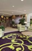 Туры в отель Embassy Suites Buffalo Туры в отель Embassy Suites Buffalo