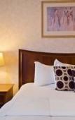 Туры в отель Best Western on the Avenue Туры в отель Best Western on the Avenue