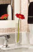 Туры в отель Reikart House, Buffalo, a Tribute Portfolio Hotel Туры в отель Reikart House, Buffalo, a Tribute Portfolio Hotel