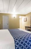 Туры в отель Econo Lodge Hicksville - Long Island Туры в отель Econo Lodge Hicksville - Long Island