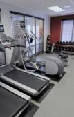 Туры в отель Hilton Garden Inn Westbury Туры в отель Hilton Garden Inn Westbury