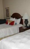 Туры в отель Hilton Garden Inn Westbury Туры в отель Hilton Garden Inn Westbury