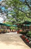Туры в отель Holiday Inn Westbury - Long Island by IHG Туры в отель Holiday Inn Westbury - Long Island by IHG