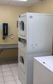 Туры в отель Holiday Inn Westbury - Long Island by IHG Туры в отель Holiday Inn Westbury - Long Island by IHG