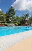 Туры в отель Holiday Inn Westbury - Long Island by IHG Туры в отель Holiday Inn Westbury - Long Island by IHG