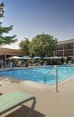Туры в отель Holiday Inn Westbury - Long Island by IHG Туры в отель Holiday Inn Westbury - Long Island by IHG