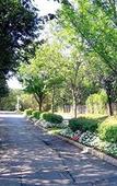 Туры в отель Hampton Inn Long Island / Commack Туры в отель Hampton Inn Long Island / Commack