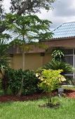 Туры в отель Ramada by Wyndham Cocoa Туры в отель Ramada by Wyndham Cocoa