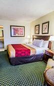 Туры в отель Island Hotel of the Space Coast Туры в отель Island Hotel of the Space Coast